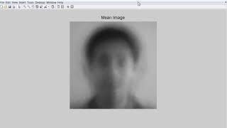 Facial Expression Recognition Using MATLAB Real Time - Final Year Project of Electronics Engineering