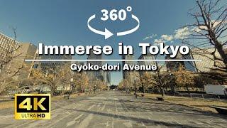 【4K・360°】Boulevard of Brilliant Tokyo Dreams on Gyoko-dori in Japan #travel #vr #immersive