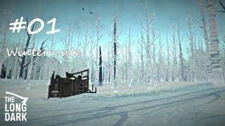 The Long Dark #01 Absturz in eisiger Kälte! Wintermute Redux Let`s Play Deutsch HD