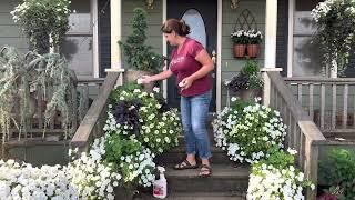 Front porch end of summer update.  Whites and soft yellows add lots pop