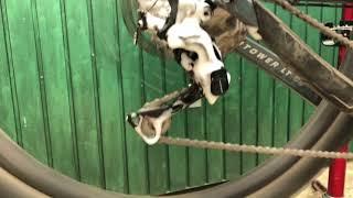 Degreasing a chain in 60 seconds