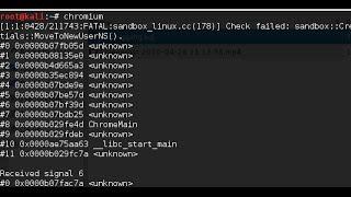 Fixed FATAL:sandbox_linux.cc Chromium Kali Linux