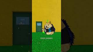 I HATE ZIOLES GAMBLING | Doge Gaming