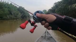 Toman top water fully vedio kampung dew,subscribe like comment tq guy’s