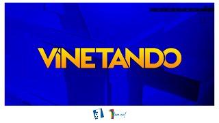 [UPDATED] Logo History: Vinetando