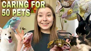 My Morning Pet Care Routine For 50 Pets! | Vlog