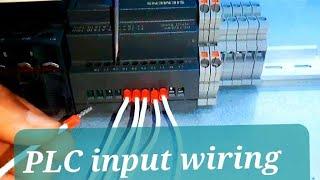 PLC Input Wiring Made Easy: Step-by-Step Tutorial for Beginners"