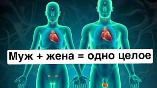 Как делать выбор в отношениях | муж и жена образуют единый организм