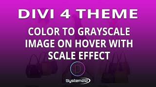 Divi 4 Color To Grayscale Image On Hover With Scale Effect