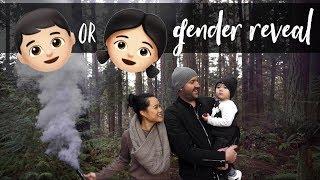 Baby #2 Gender Reveal | Jenny Le