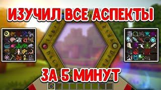 ГАЙД КАК В МАЙНКРАФТЕ ИЗУЧИТЬ ВСЕ АСПЕКТЫ ТАУМКРАФТА ЗА 5 МИНУТ НА ЛЮБОМ СЕРВЕРЕ thaumcraft 4 - 6