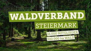 Was macht der Waldverband Steiermark?