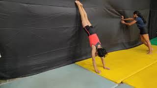 Cross Reverse Handstand Hold 10sec.