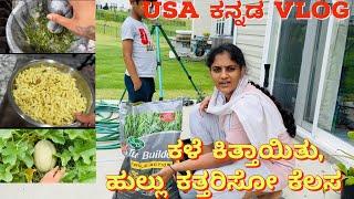 ಕಳೆ ಕಿತ್ತಾಯಿತು ಇವಾಗ ಹುಲ್ಲು ಕತ್ತರಿಸೋ ಕೆಲಸ |Backyard Lawnmowing| #gowdrahudugishobha #kannadavlogs