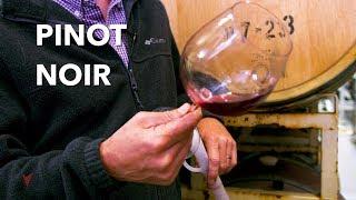 Pinot Noir (J. Wilkes) - "V is for Vino" wine show