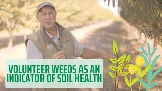 Volunteer weeds as an indicator of soil health