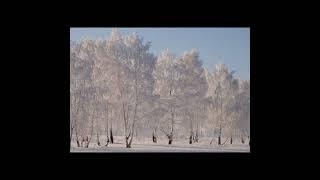 Сергей Есенин. Береза. Белая береза под моим окном... стихи