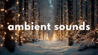 ️ Magical Christmas Forest Ambience | Soft Snowfall Sounds, Ambient Music | Sleep, Study, Relax