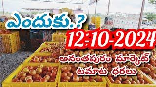 12 October 2024 today Anantapur tomato rates/ TODAY TOMATO MARKET PRICES /Today tomato price