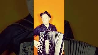 Sounds accordion or synthesizer? Andrey Kir