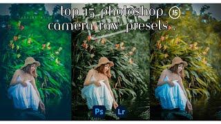 Top 15 Photoshop camera raw presets free download