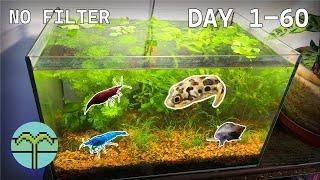 Complete SETUP of NATURAL Walstad PLANTED Aquarium