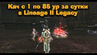 Прокачка с 1 по 85 уровень за день Lineage 2 Legacy игроком с мелким донатом, это реально?