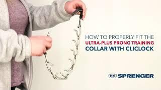 How to Get the Proper Fit: Herm. Sprenger Ultra-Plus Dog Prong Training Collar with ClicLock