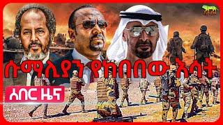 Ethiopia: የሱማሊያው መሪ ወደ ኢትዮጵያ ሊመጡ ነው | ሱማሊያ “የበቀል ሰይፍ ተሳለባት” | ትልቅ ስህተት ሰራች | የሲሲ የሱማሊያ ጉብኝት አደጋ ገጠመው