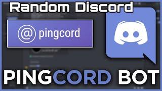 Discord Pingcord einrichten | einfach erklärt | social media verknüpfung |  #discordtutorials