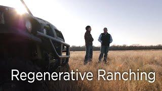 Regenerative Ranching and our Regenerative Rancher Spotlight