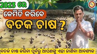 Duck farming in odisha | Bataka chasa odisha |