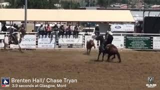 Brenten Hall/ Chase Tryan | 2019 Glasgow, MT | 3.9 seconds