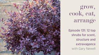 12 Top Shrubs for Scent, Structure and Extravagance with Gary Newell - Episode 131