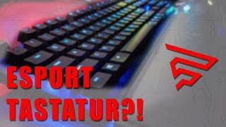 Brauchst du wirklich eine Esport Tastatur? | Fragster Fundamentals