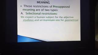 Lexical meaning in Translation