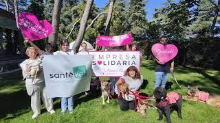 Santévet con la Fundación Animal Rescue 