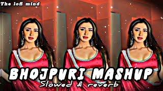 Bhojpuri mashup  lofi songs / Trending mashup bhojpuri songs / Slowed reverb lofi songs /