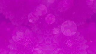 Purple Floral Bokeh - HD Video Background Loop