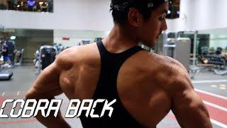 CARA MEMBENTUK COBRA BACK DI GYM