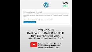 Database Update Required   WordPress Latest Version Error