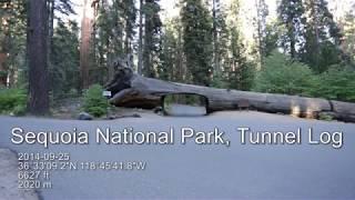 Sequoia National Park, Tunnel Log