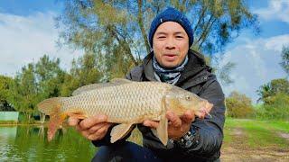 Action Packed! Fishing a POND full of CARP