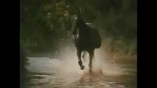 Black Beauty Theme (Galloping Home) - Denis King 1972