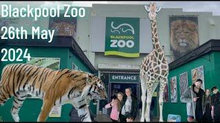 Blackpool Zoo 26th May 2024 #blackpool