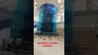 AQUARIUM RAKSASA JEDDAH AIRPORT