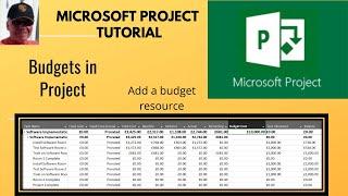 Use budgets in Microsoft Project. Create a Budget resource