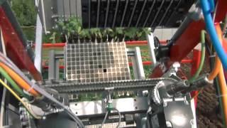 Techmek Magika: Fully Automatic Transplanter with Checchi&Magli