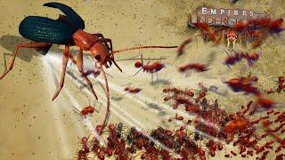 NEW FIRE ANTS ATTACK!!! | Empires Of The Undergrowth - Ep26