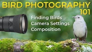 Bird Photography for Beginners